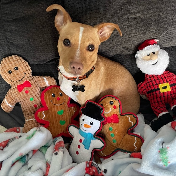 15% of my sales go to: Berea Animal Rescue & Angels for Animals Medical Fund 🐾 - Picture 5 of 17